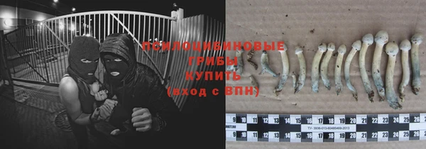 каннабис Алзамай